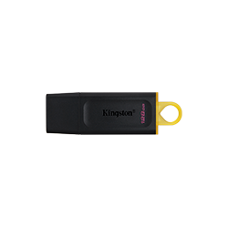 KINGSTON USB 3.2 256 GB